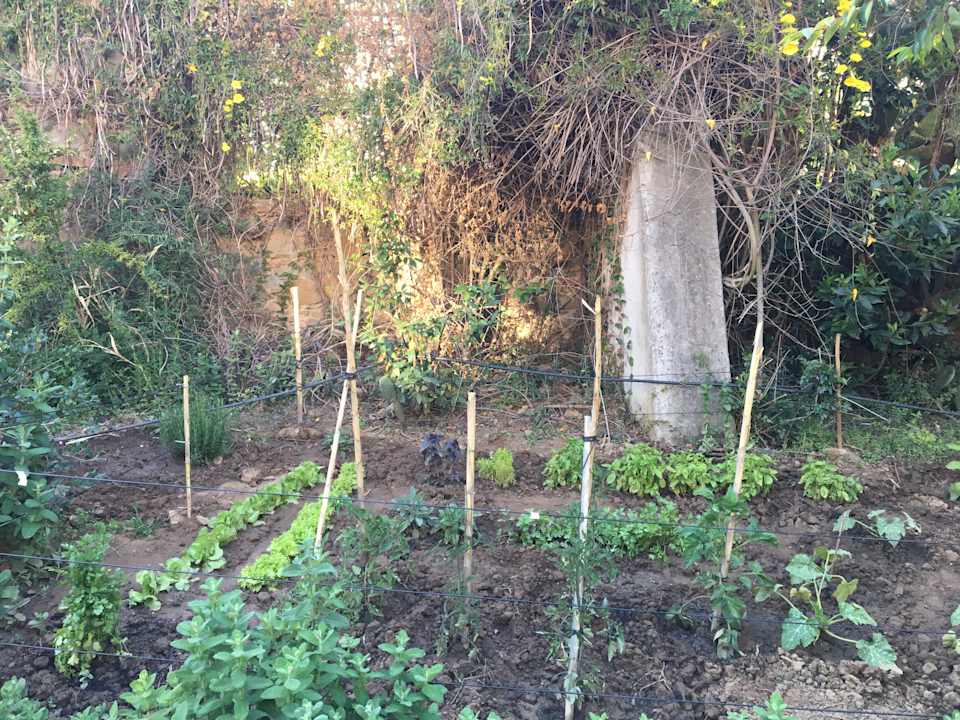 Gartenanlage Hotel Campastrello