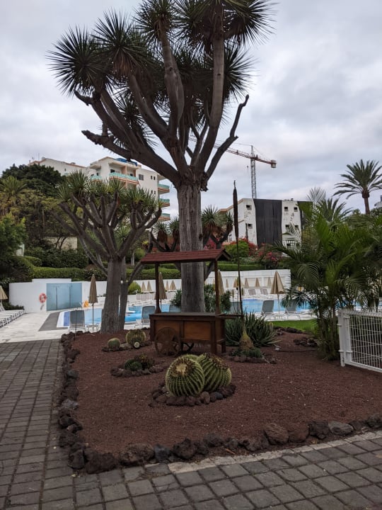 Gartenanlage TRH Taoro Garden