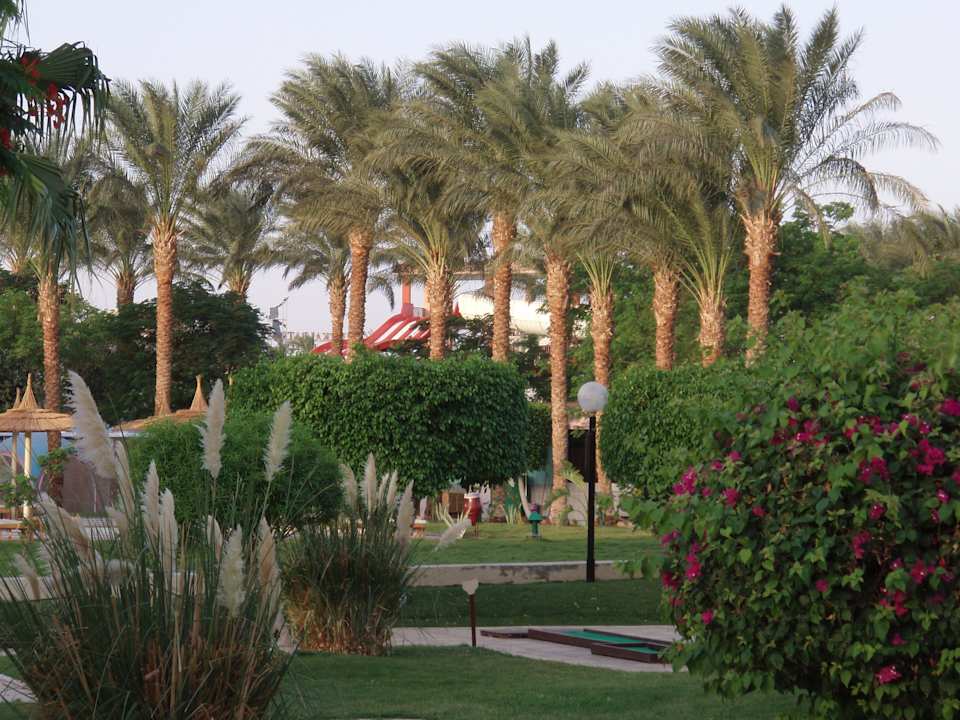 Aussenanlage Beach Albatros Resort