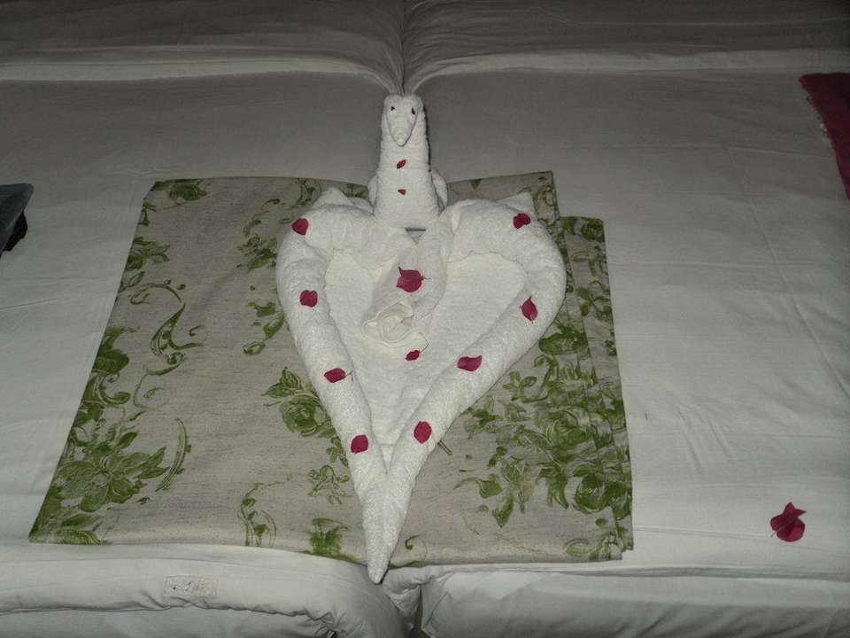 Herz auf dem Bett Ghazala Gardens