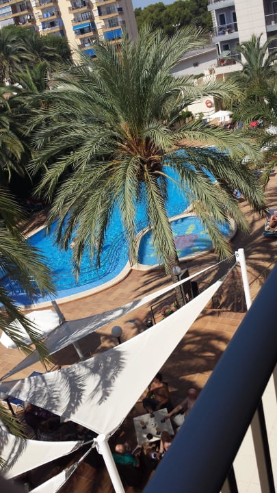 Blick aus dem Zimmer 233 auf die Aussenanlage Hotel Cosmopolitan