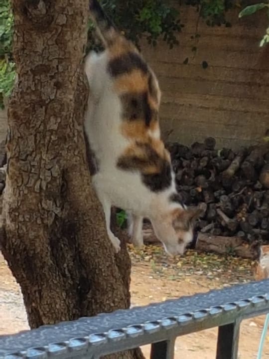 Sonstiges Hotel Marlena