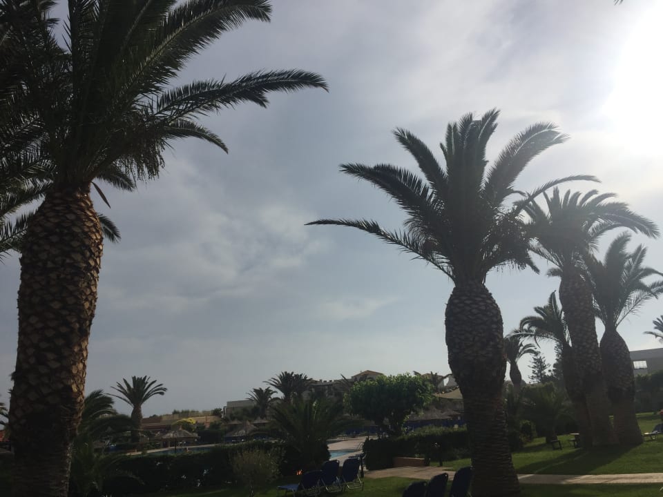 Gartenanlage Anissa Beach & Village