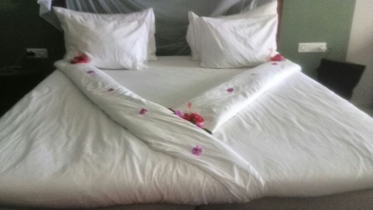 Zimmer TUI BLUE Tamala