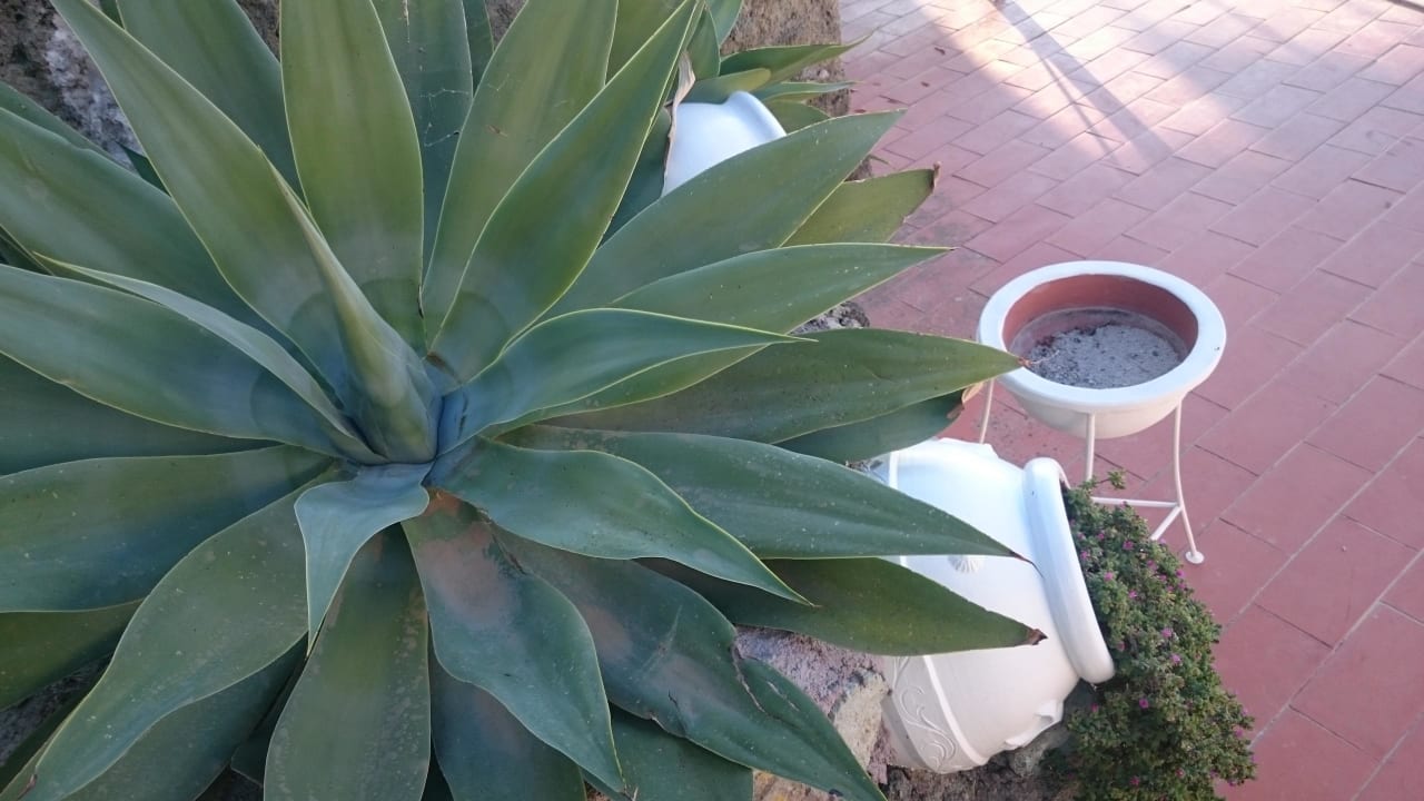 Poolanlage Hotel Paradiso Terme Resort & SPA