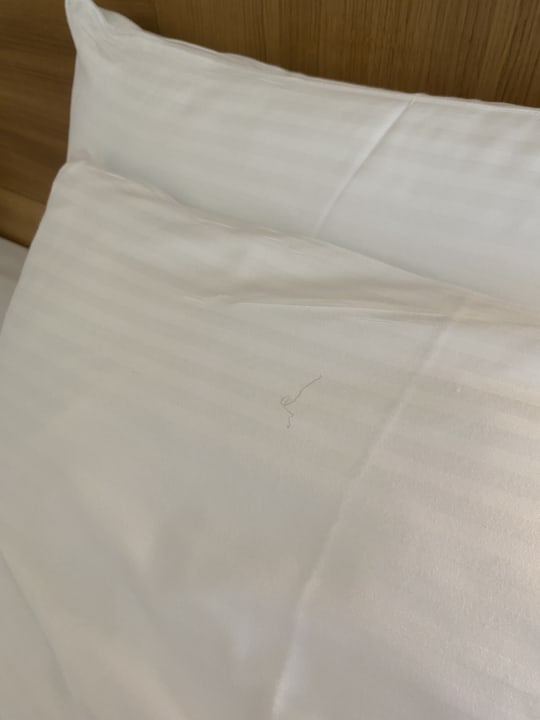 Zimmer Lyttos Mare