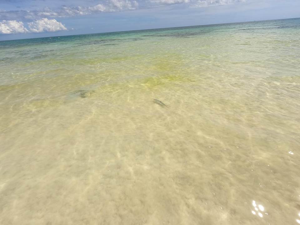 Strand Akumal Bay Beach & Wellness Resort