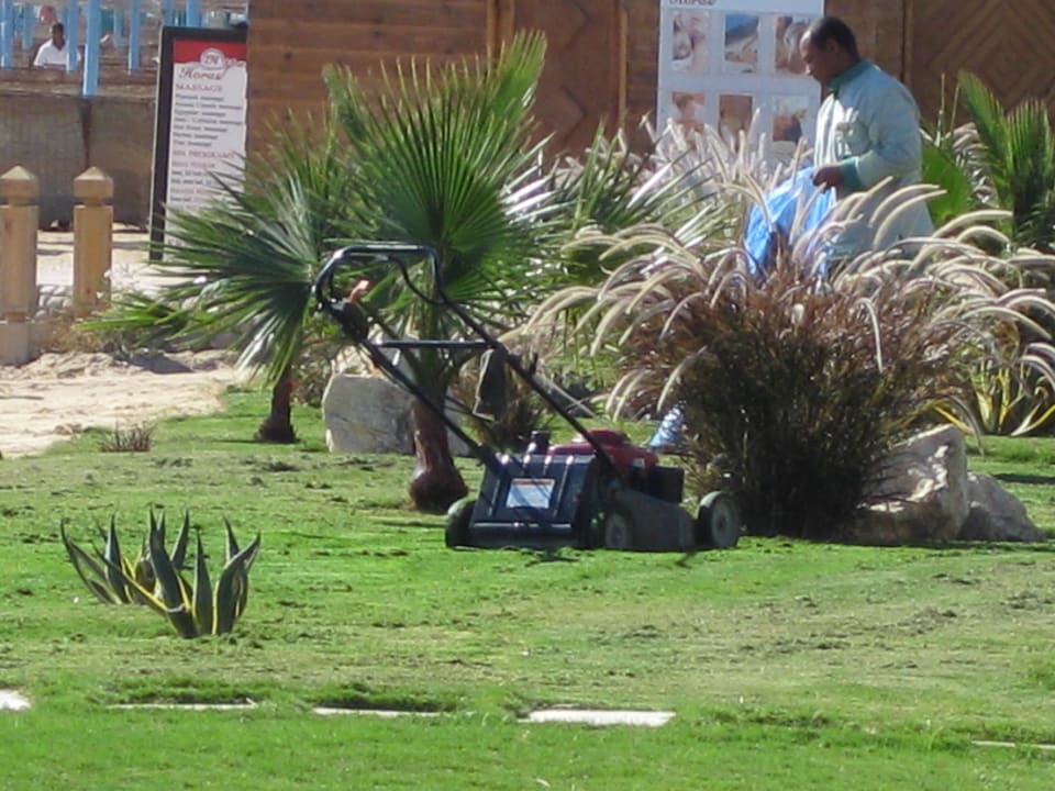 Der "Rasenmäher des Grauens"  Shams Prestige Abu Soma-Adults Only