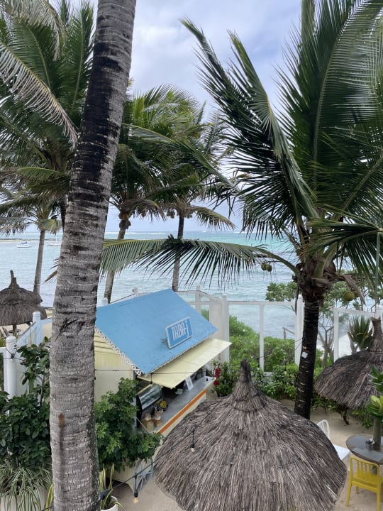 Gastro Tropical Attitude - Adults only