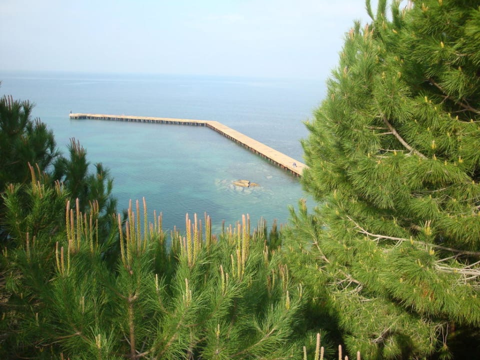 Steg vom Pool aus Hotel Vista Hill