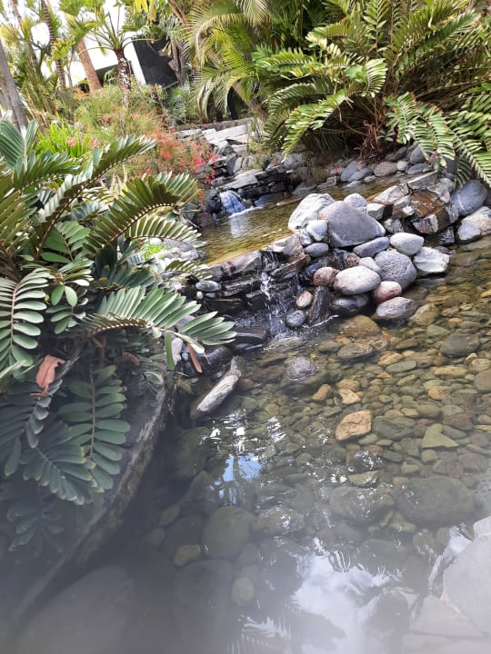 Gartenanlage allsun Hotel Lucana