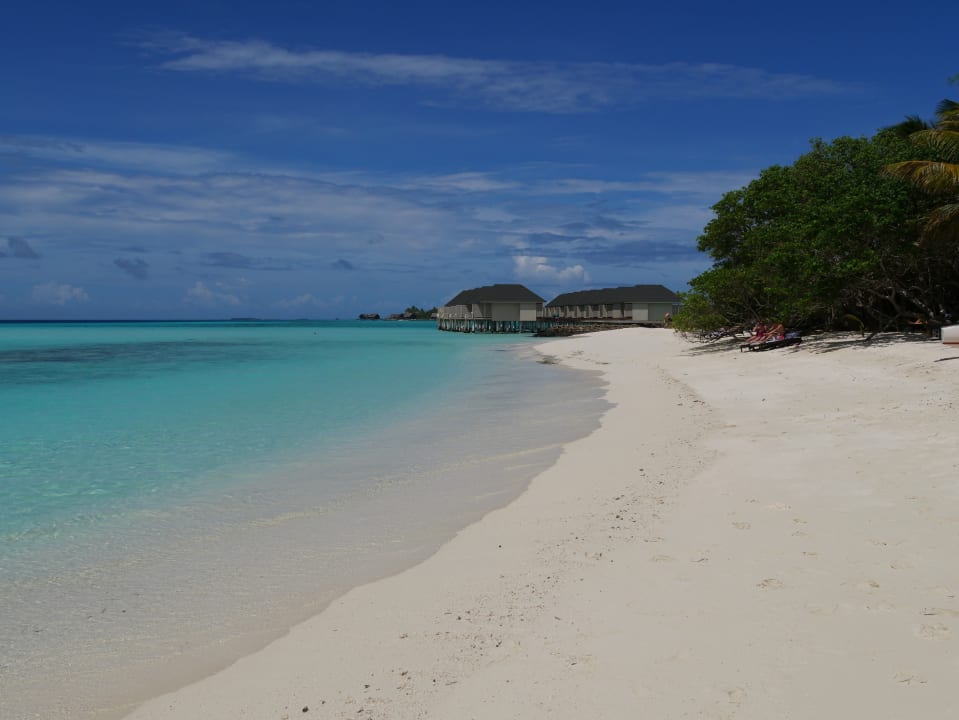 Strand Summer Island Maldives