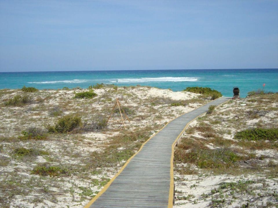 Steg zum Strand Hotel Cayo Largo del Sol