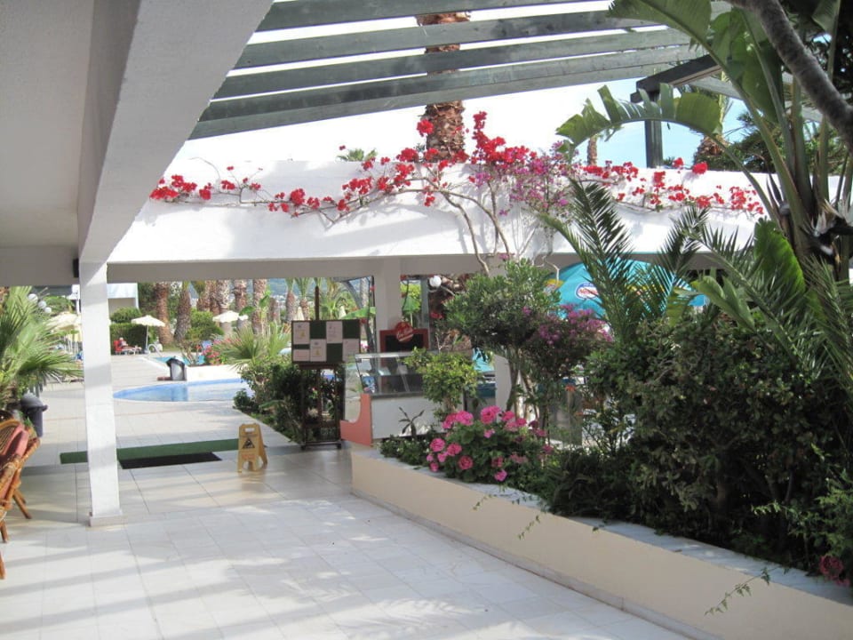 Neben der Bar außen  Hotel Tigaki Beach