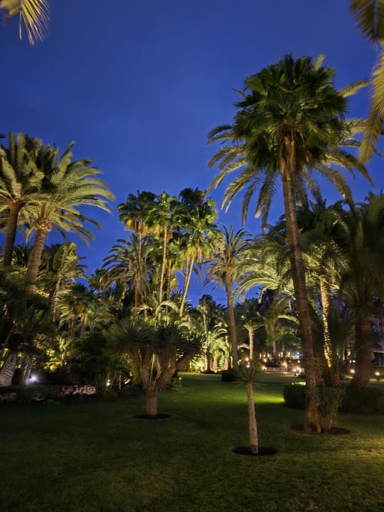 Gartenanlage Hotel Riu Palace Oasis