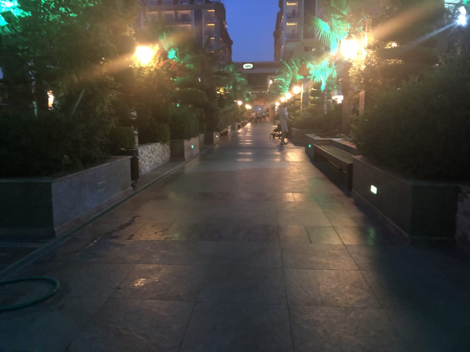 Garten Dizalya Palm Garden