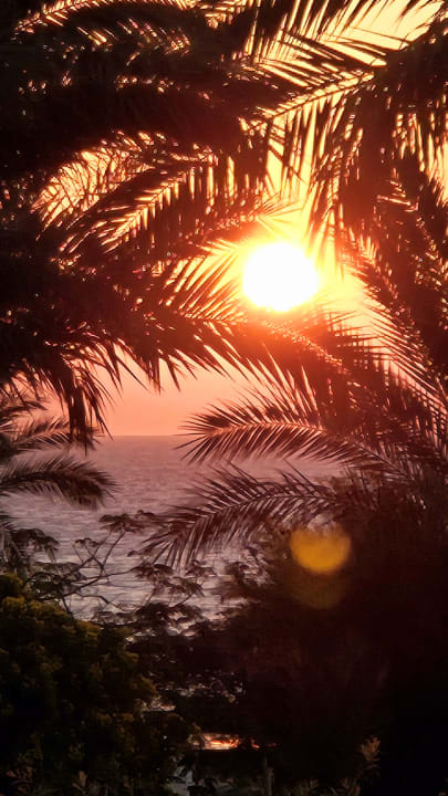 Ausblick Serenity Alpha Beach