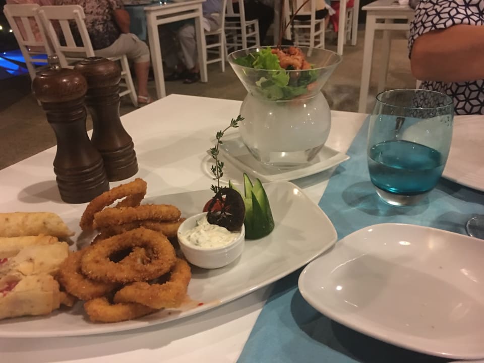 Gastro Paloma Oceana