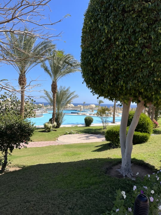 Pool Serenity Alpha Beach