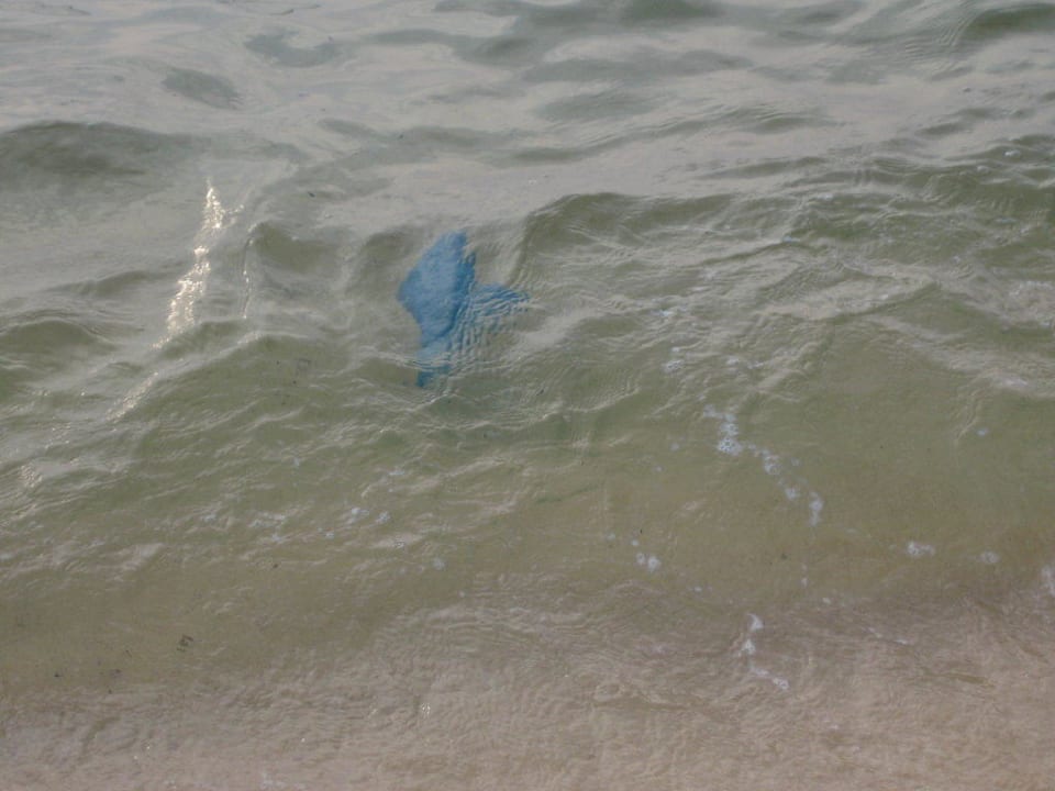 Abfall im Mehr am Hotelstrand. Hotel Sasco Blue Lagoon Resort