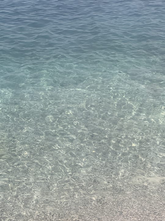 Strand Valamar Bellevue Resort