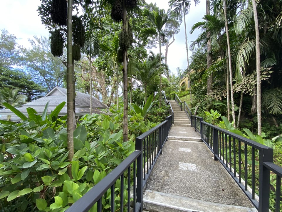 Gartenanlage Moracea by Khao Lak Resort