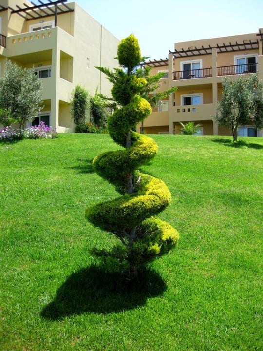 Baumkunst in der Gartenanlage Hotel Horizon Beach Resort