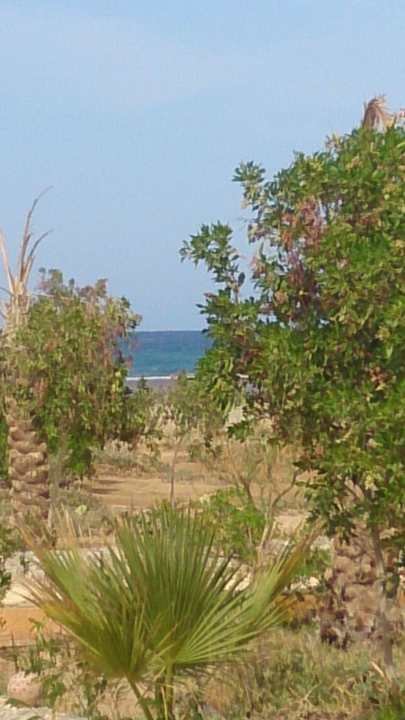 Look from the bungalow  Sea Hug Resort