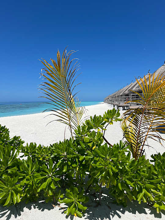 Strand Constance Moofushi Maldives