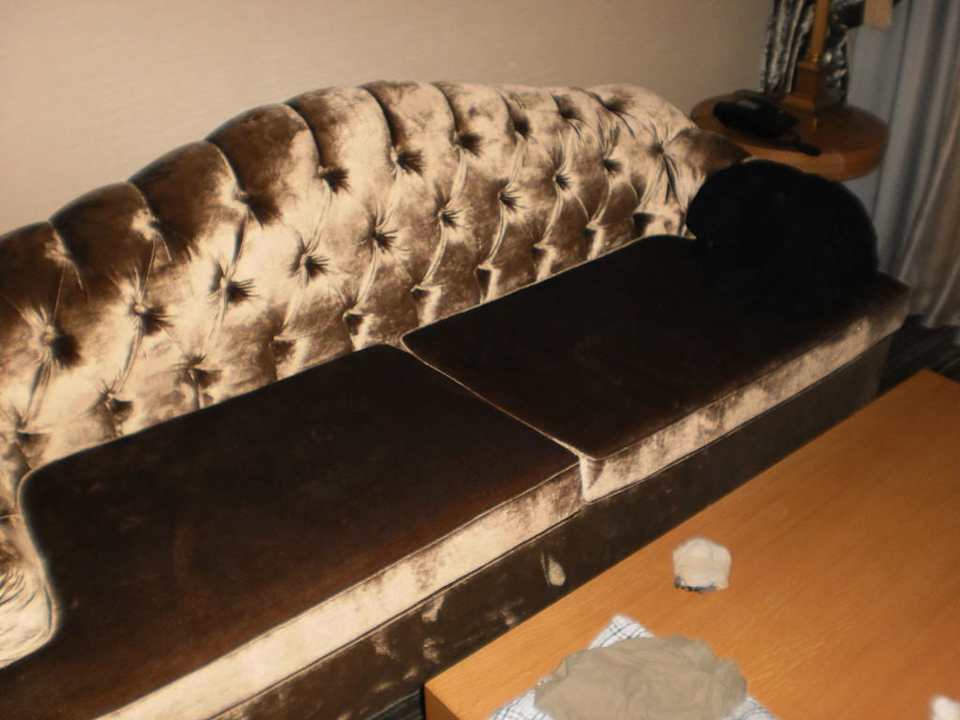 Couch und Bett für 3. Person Oscar Resort Hotel