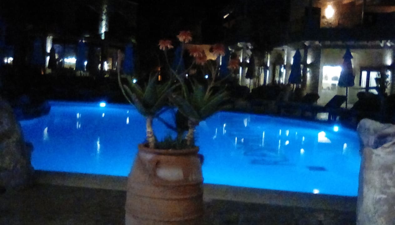 Pool Cactus Royal