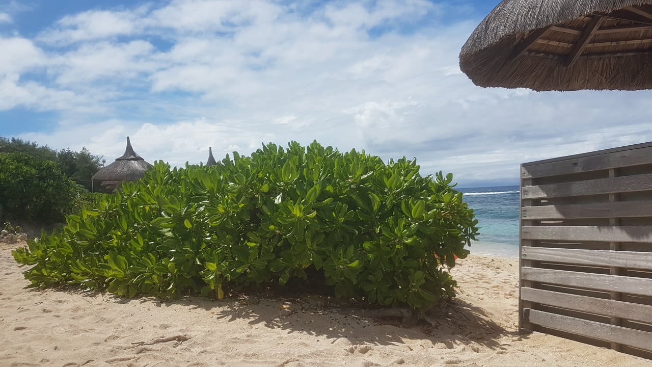 Strand Radisson Blu Poste Lafayette Resort & Spa - Adults only