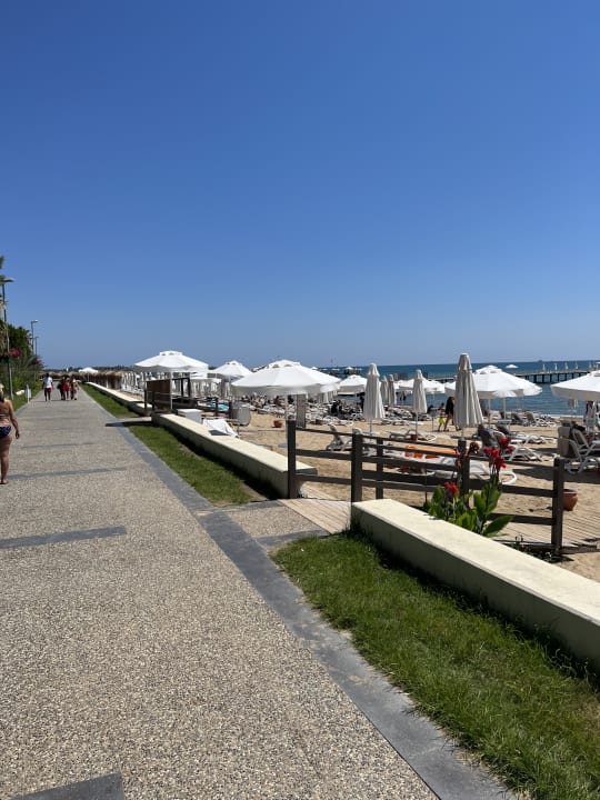 Strand PALOMA Perissia