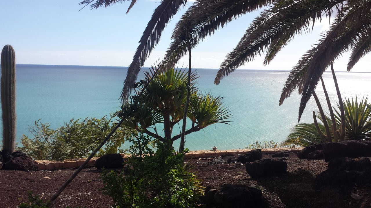 Blick aufs Meer vom Pool R2 Pajara Beach