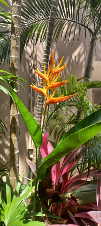 Gartenanlage Best Western Premier Bangtao Beach Resort & Spa