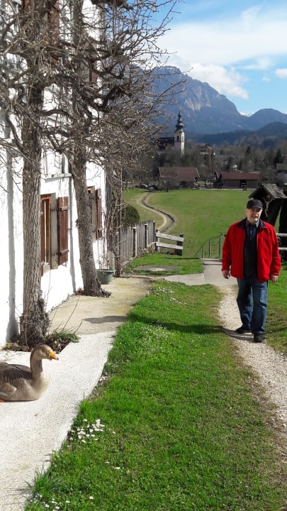 Außenansicht Kurhotel Falter