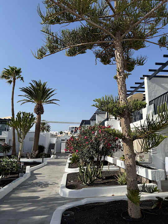 Außenansicht Bungalows & Appartements Playamar