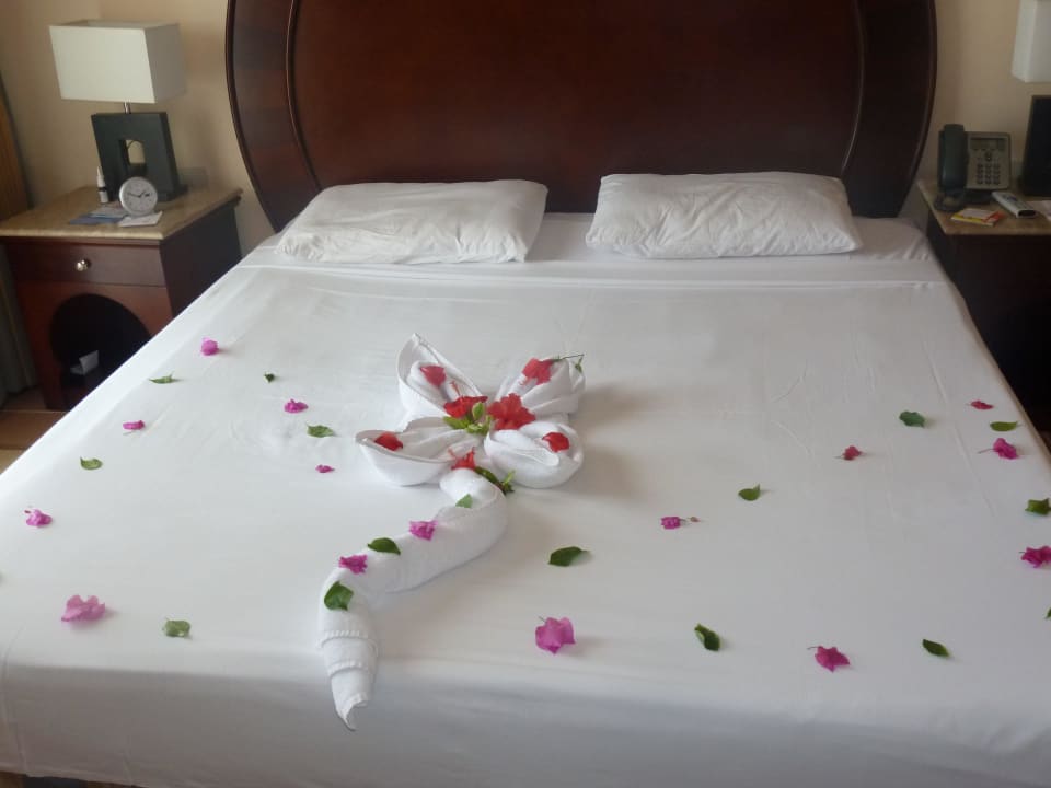 Surprise vom Reinigungsmann Stella Beach Resort & Spa Makadi Bay