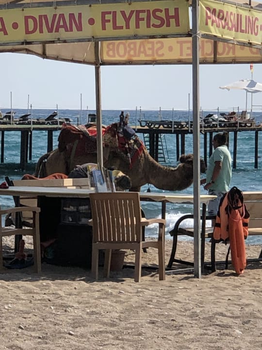 Strand Sunmelia Beach Resort