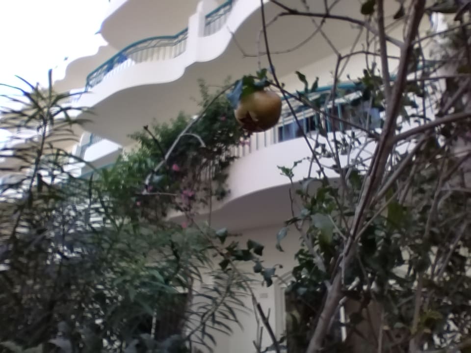 Ausblick Bella Vista Resort Hurghada