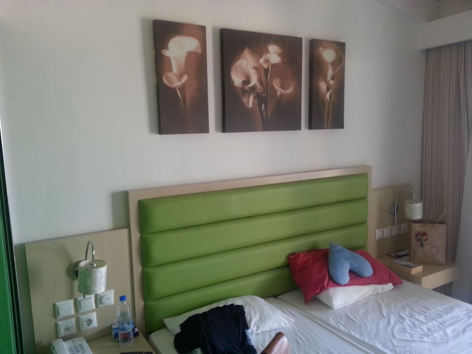 Unser Zimmer Hotel Forest Park