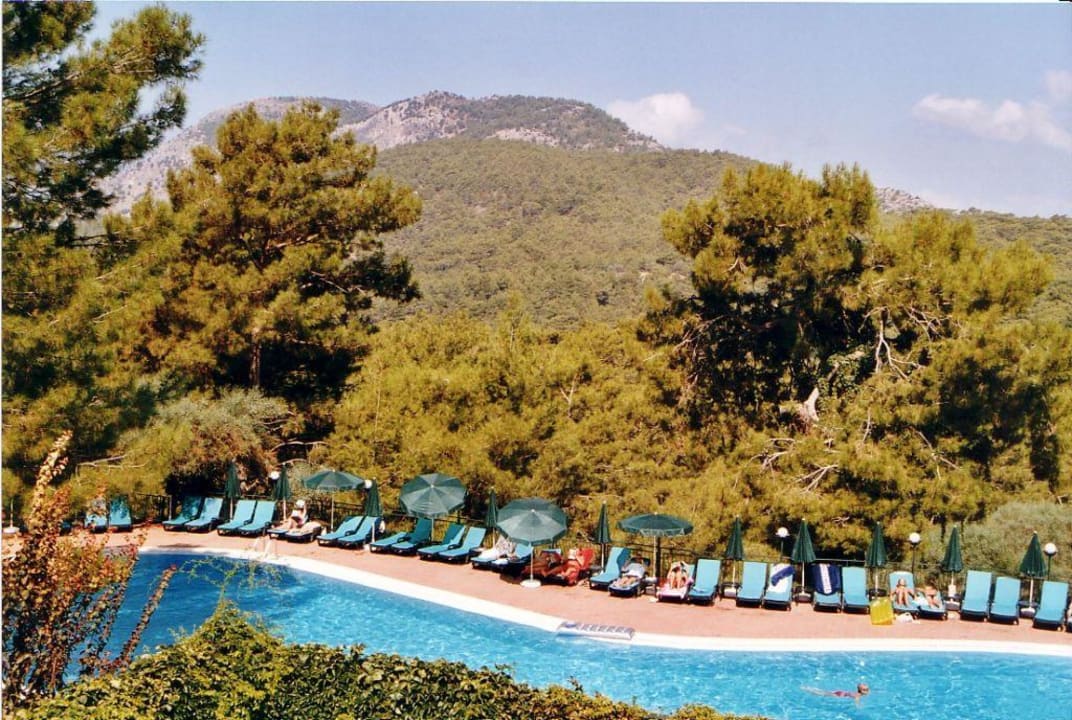 grosses Schwimmbad Montana Pine Resort