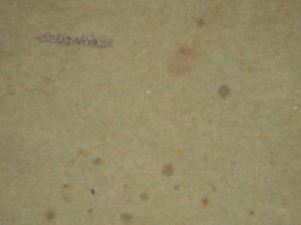 Teppichboden Side Bay Hotel