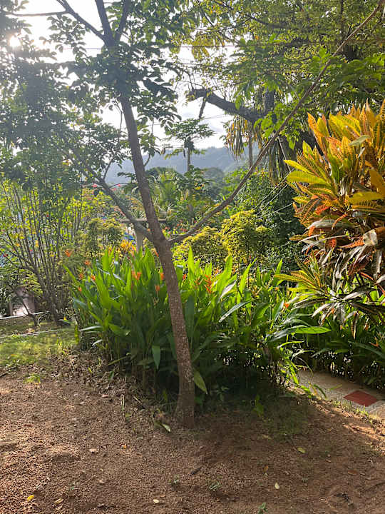 Gartenanlage Hostal Recuerdos del Tayrona