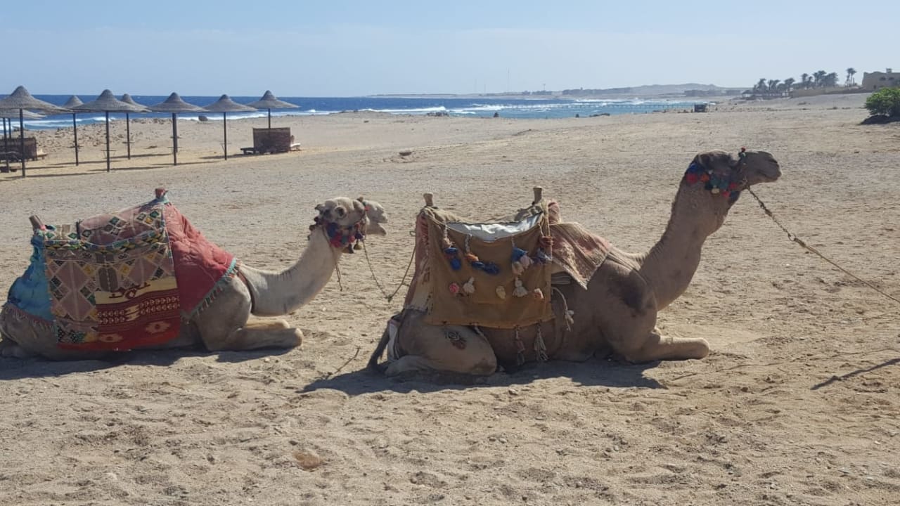 Strand Bliss Nada Beach Resort