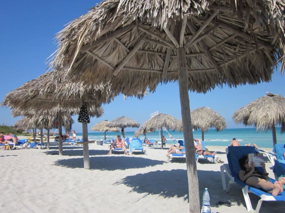 Strand Paradisus Princesa del Mar Resort & Spa - Adults only