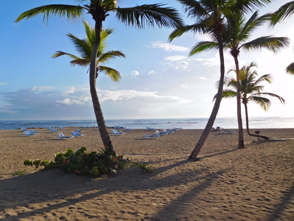 Liegeplätze Grand Paradise Playa Dorada