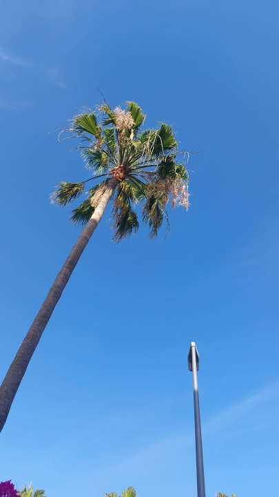 Gartenanlage Parque Santiago IV Official