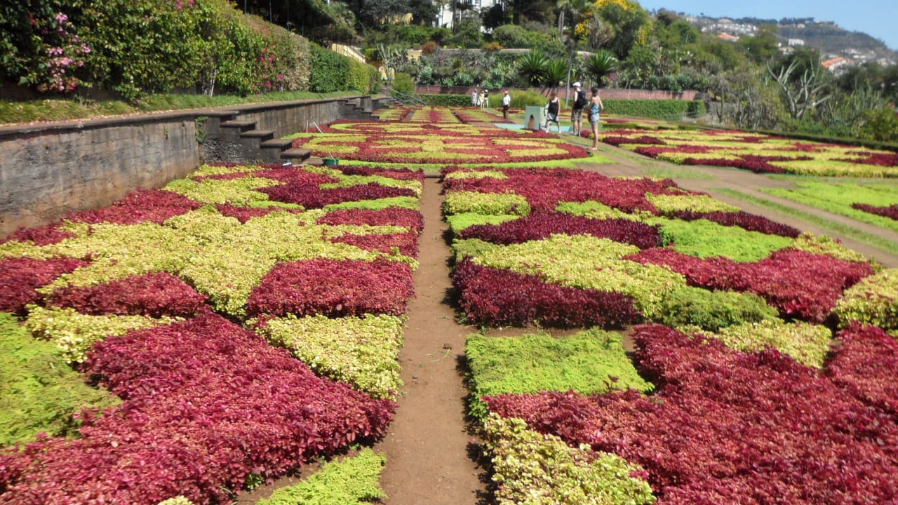 Botanischer Garten  Calheta Beach