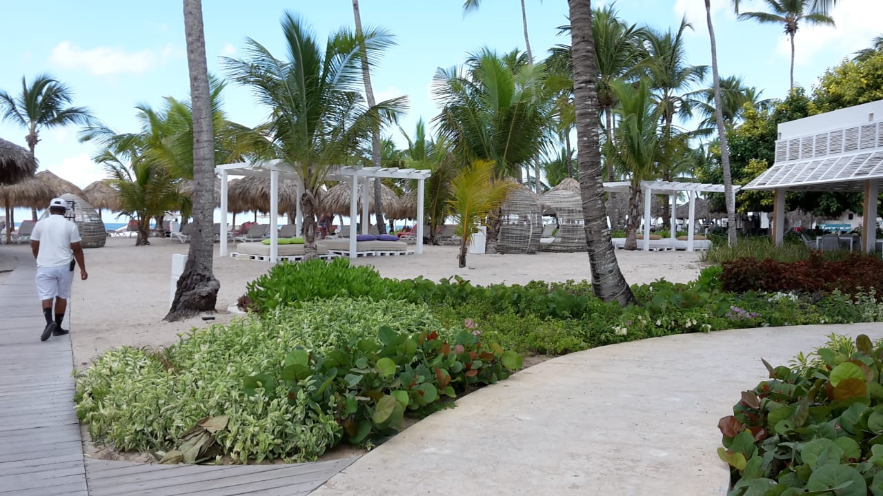 Strand Catalonia Royal La Romana - Adults only